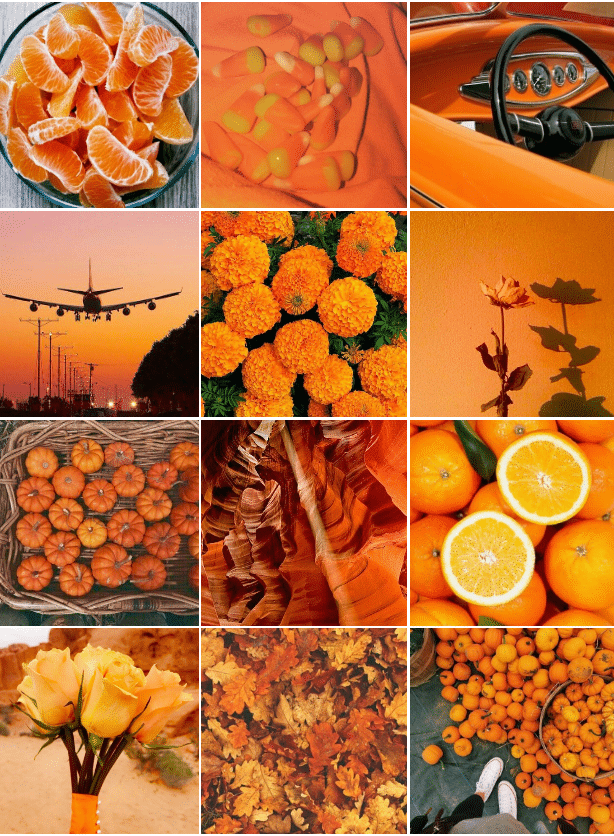feed orange